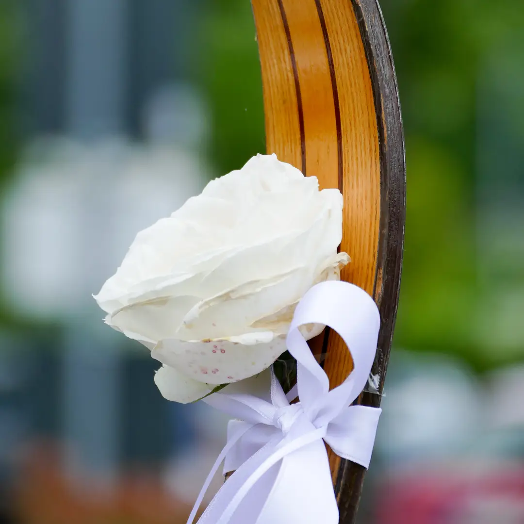 Hochzeitsfotograf Halberstadt einfühlsam und nah am Geschehen