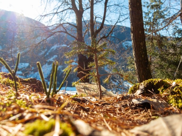 Lüsen Südtirol